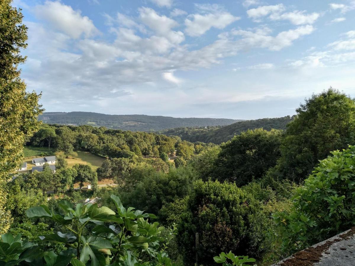 Roz Melen Chateauneuf-du-Faou